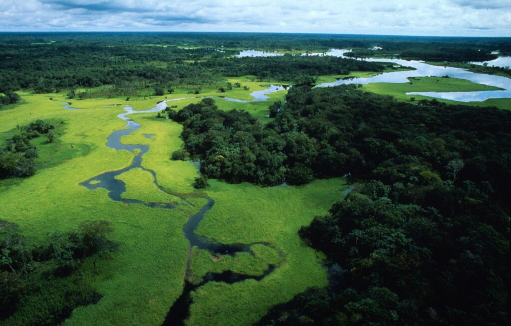 Il 22 aprile è l’Earth Day, ma per la Terra c’è davvero poco da festeggiare. Cosa dicono gli ultimi dati Il 22 aprile è l’Earth Day, ma per la Terra c’è davvero poco da festeggiare. Cosa dicono gli ultimi dati
