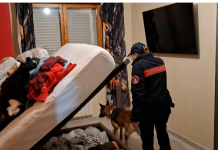 Aprilia (LT): Operazione dei Carabinieri. Arrestati i componenti di un’associazione finalizzata al traffico di sostanze stupefacenti