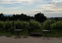 Al Piglio, ospitalità di charme, cucina d’autore e natura da vivere in famiglia